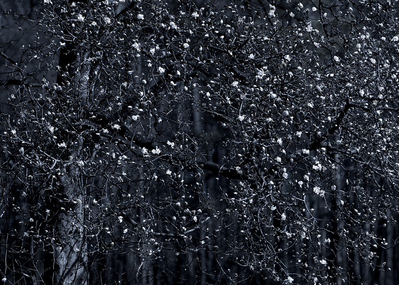 BY DENY HOWETH